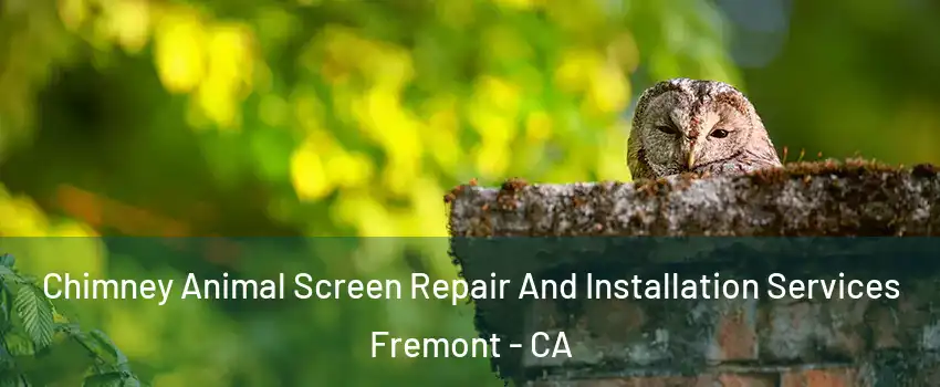  Chimney Animal Screen Repair And Installation Services Fremont - CA