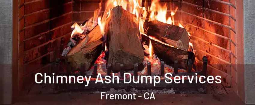  Chimney Ash Dump Services Fremont - CA