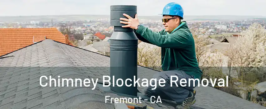  Chimney Blockage Removal Fremont - CA