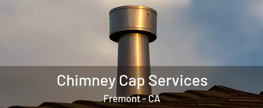  Chimney Cap Services Fremont - CA
