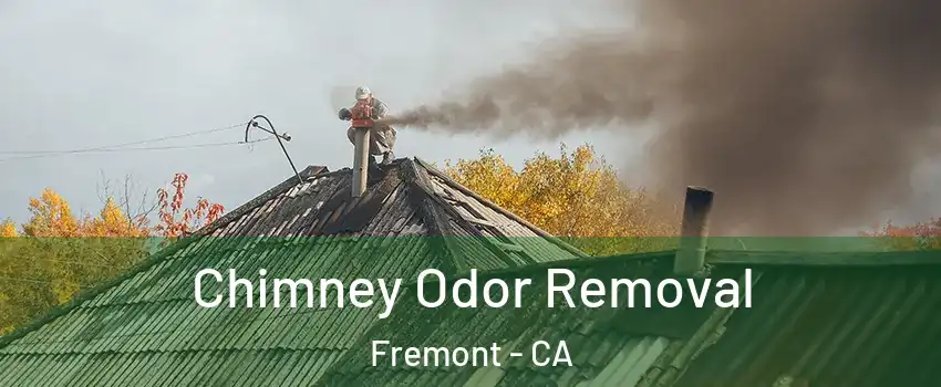  Chimney Odor Removal Fremont - CA