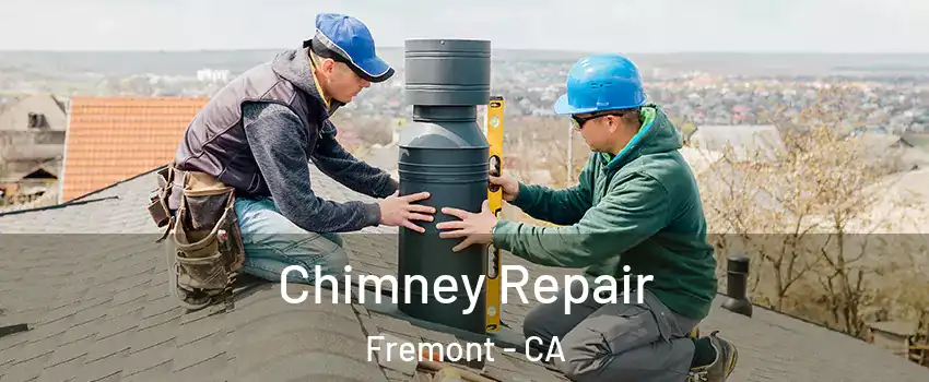  Chimney Repair Fremont - CA