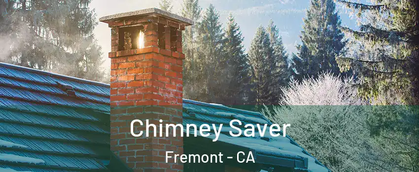  Chimney Saver Fremont - CA
