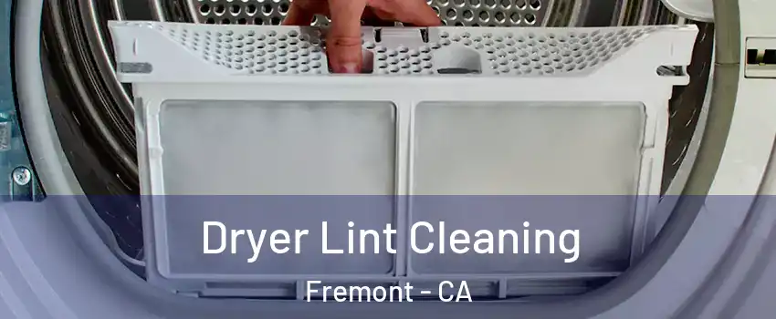  Dryer Lint Cleaning Fremont - CA