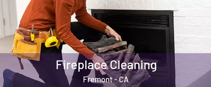 Fireplace Cleaning Fremont - CA