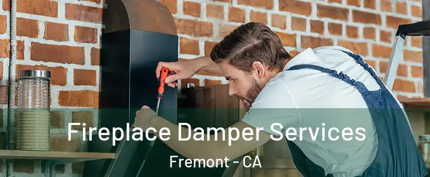  Fireplace Damper Services Fremont - CA