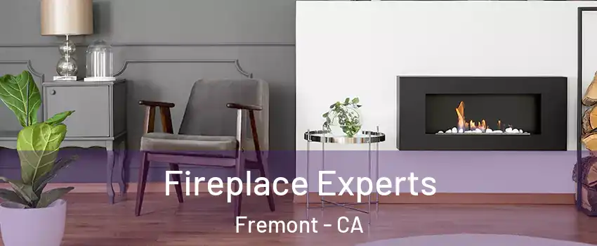  Fireplace Experts Fremont - CA