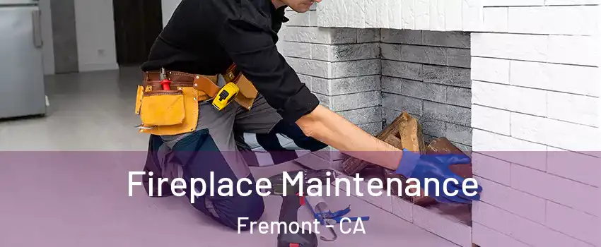  Fireplace Maintenance Fremont - CA