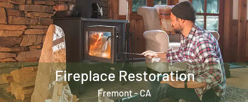  Fireplace Restoration Fremont - CA