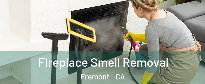  Fireplace Smell Removal Fremont - CA