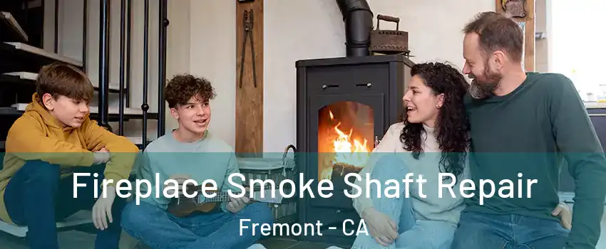  Fireplace Smoke Shaft Repair Fremont - CA