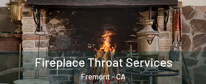  Fireplace Throat Services Fremont - CA
