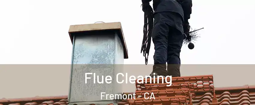  Flue Cleaning Fremont - CA