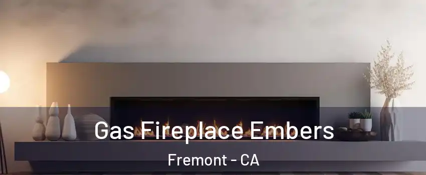  Gas Fireplace Embers Fremont - CA