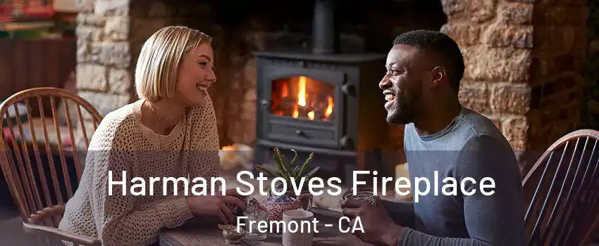  Harman Stoves Fireplace Fremont - CA