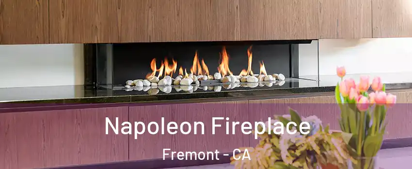  Napoleon Fireplace Fremont - CA