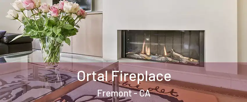  Ortal Fireplace Fremont - CA