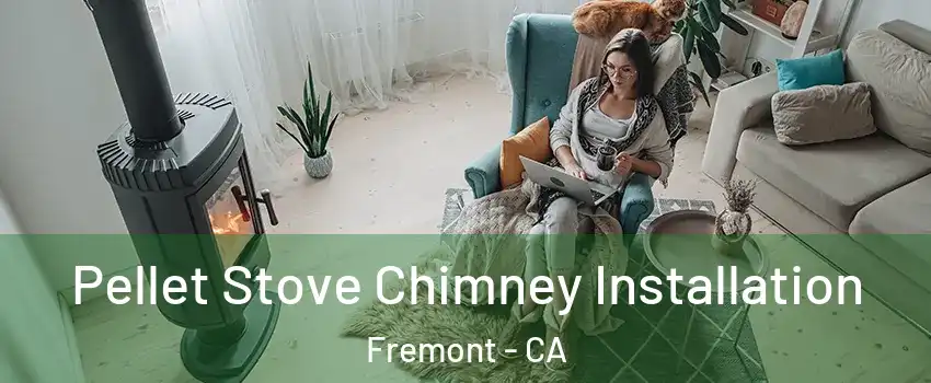  Pellet Stove Chimney Installation Fremont - CA